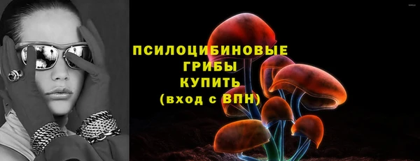 гашик Бородино