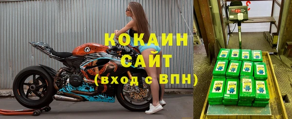 гашик Бородино