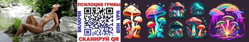 блэк спрут как зайти  наркотики  Минеральные Воды  Галлюциногенные грибы Psilocybine cubensis 